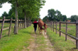 Paddocks d'hiver