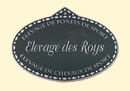 cheval
