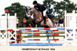 Autres poneys