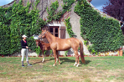 Occitane des Roys 