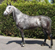 Indra de la Reppe