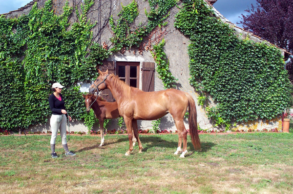 Occitane des Roys