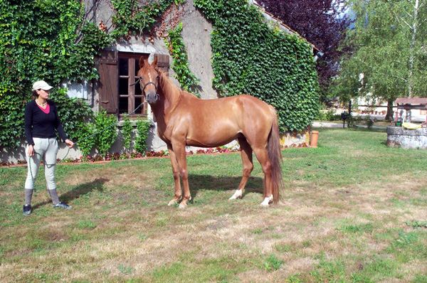 Occitane des Roys