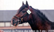 Phoebus